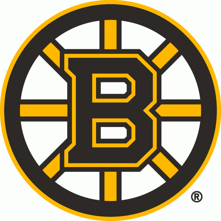 Boston Bruins 2007-Pres Primary Logo iron on transfers for fabric